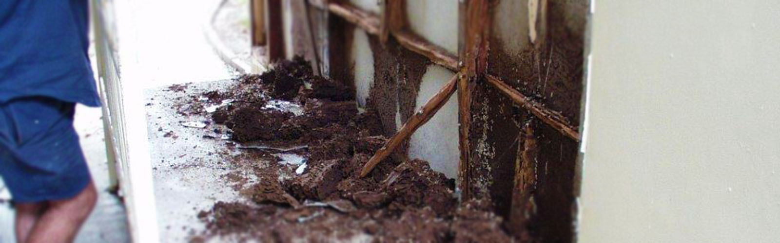 Carousel Bootstrap fourth