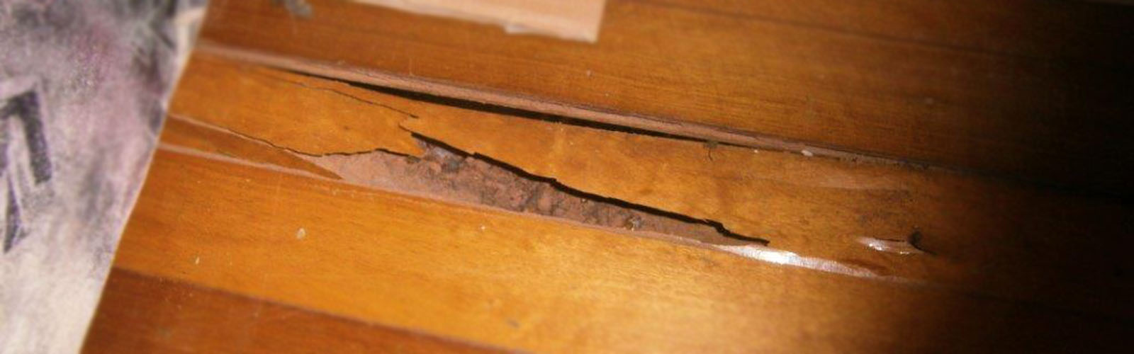 Carousel Bootstrap fifth